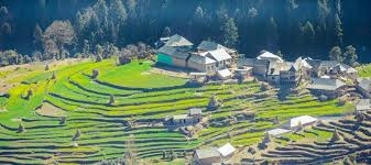 2 Nights Kasauli Tour Package from Delhi by Private Cab