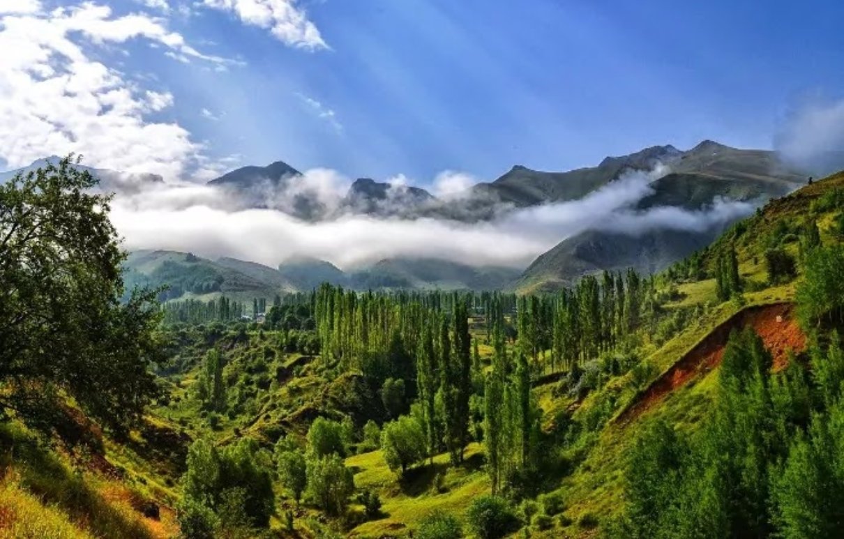Kasauli1