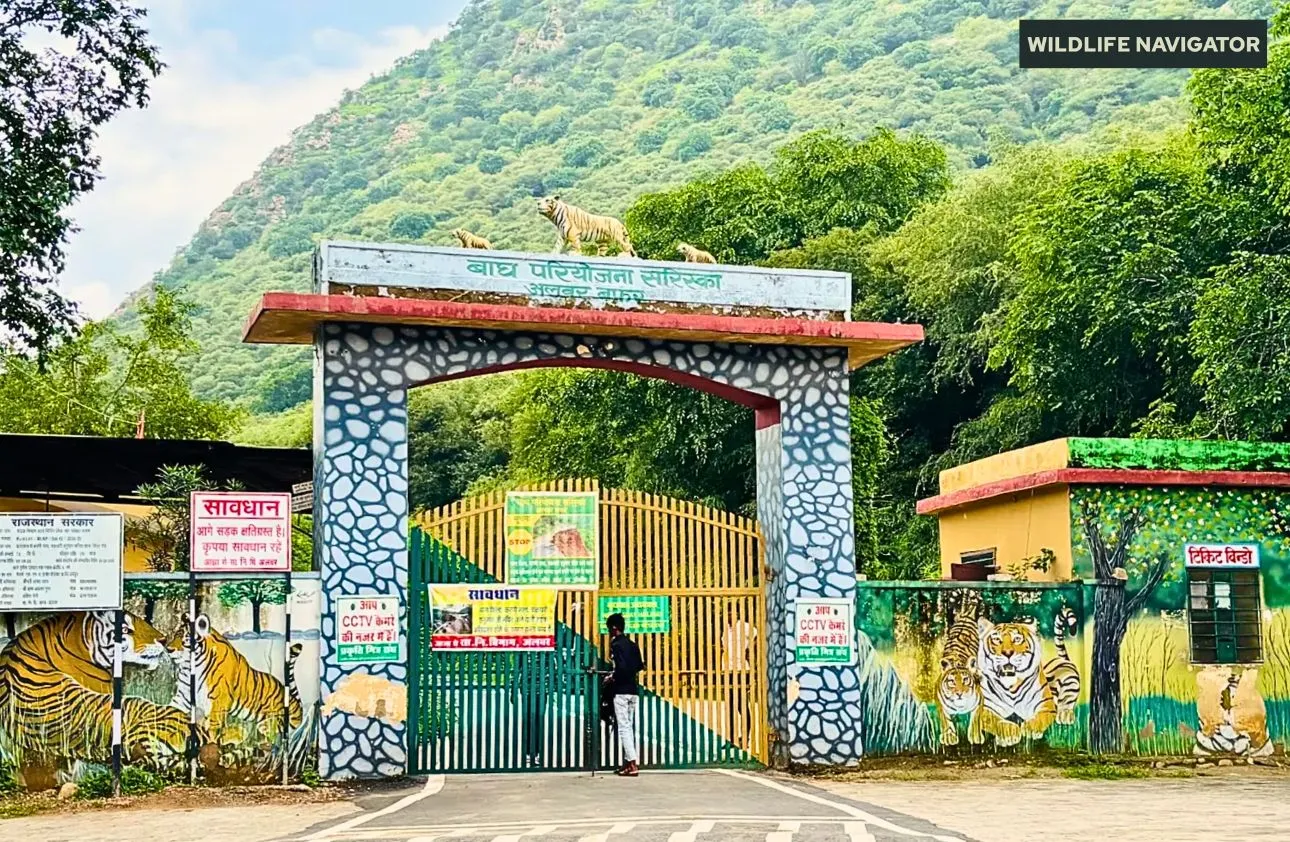 sariska