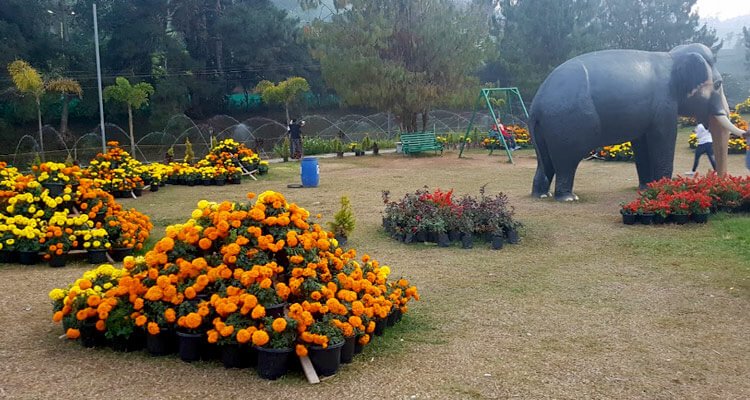 6 Days 5 Night Kerala Package - park image