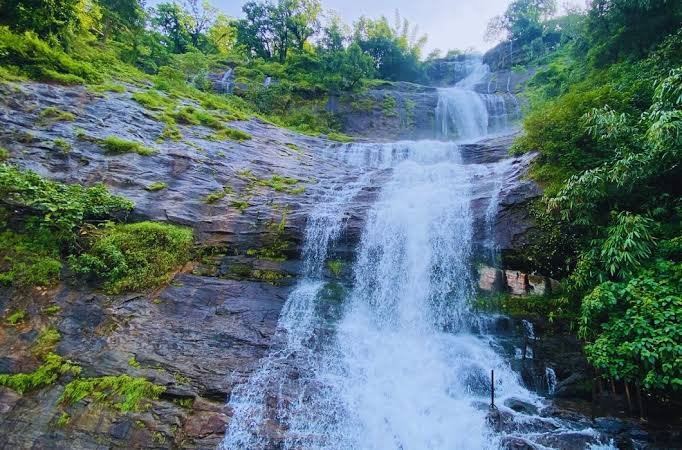 5 Days 4 Nights Kerala Package - Munnar image