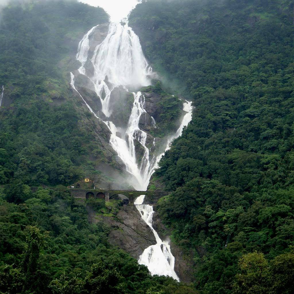 Day 3: Dudhsagar Waterfall Excursion (SIC Basis)