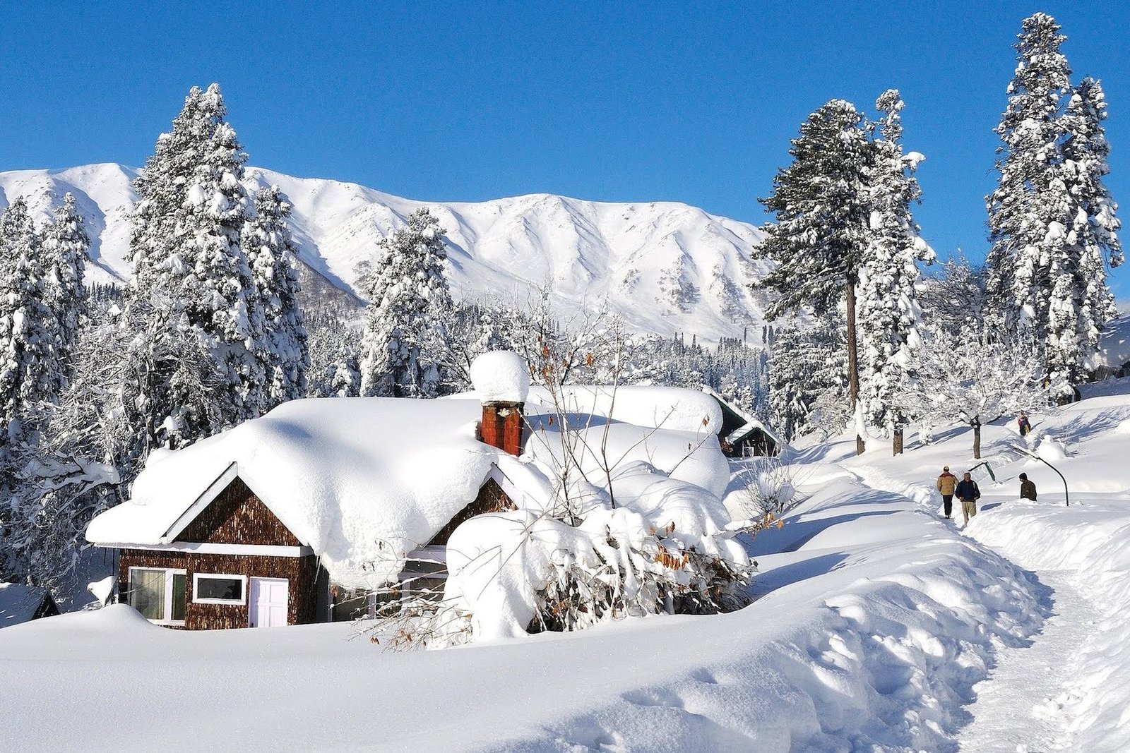 Day 3: Excursion to Gulmarg