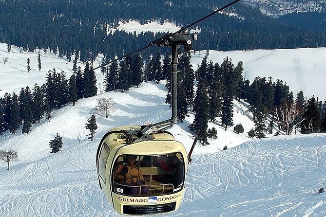 Day 4: Excursion to Gulmarg