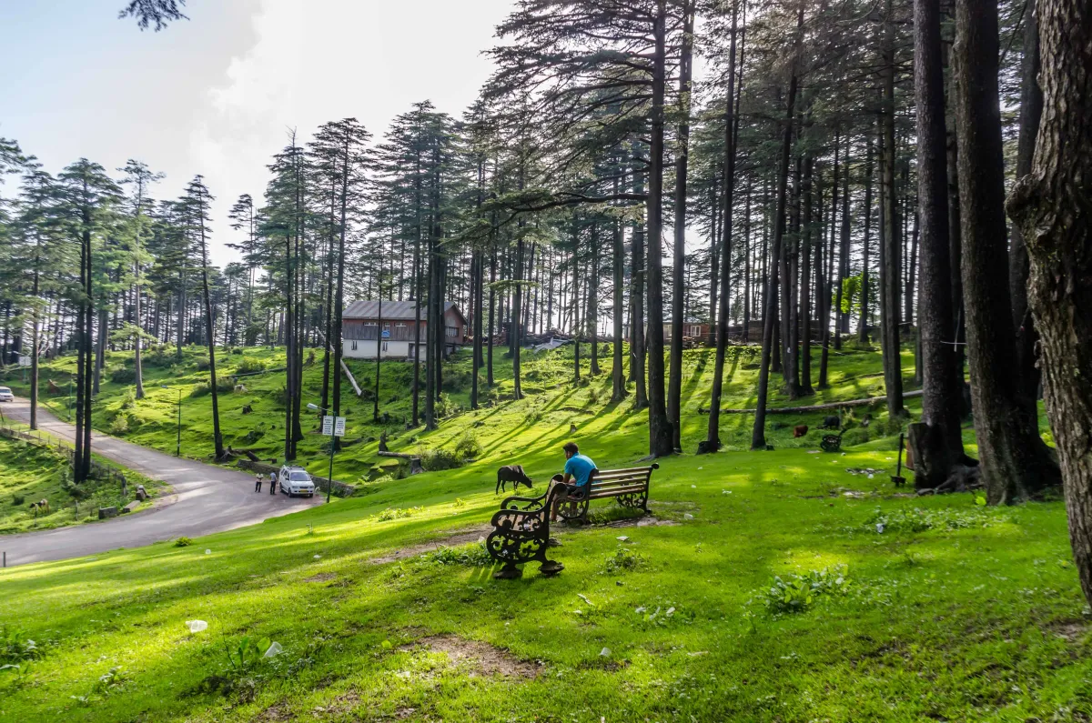 Day 4: Katra to Patnitop Sightseeing