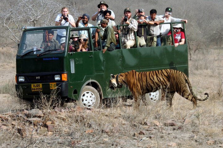 Day 1: Delhi to Ranthambore