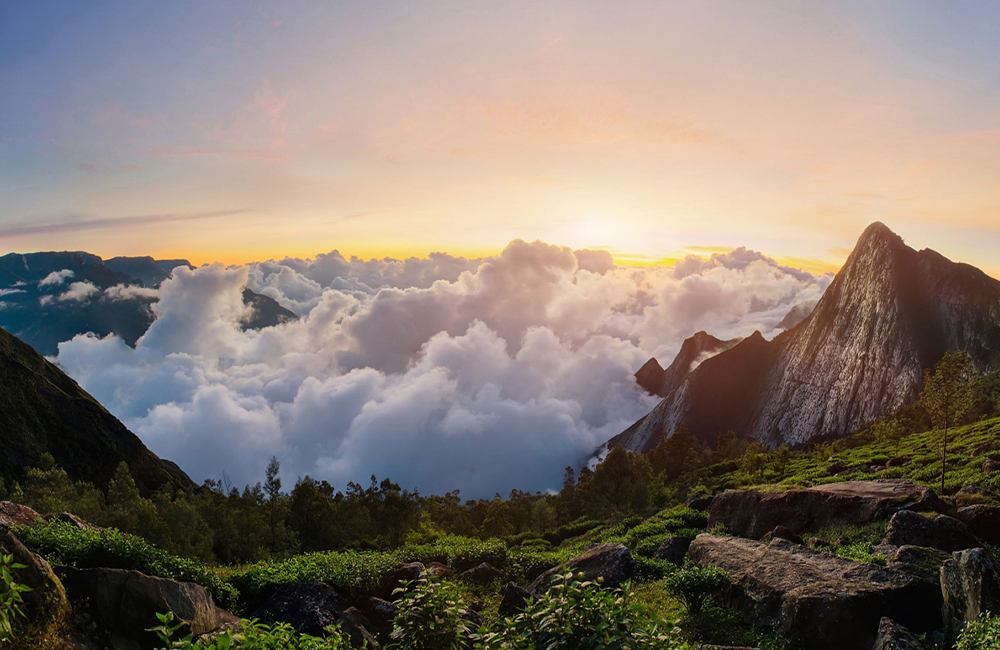 7 Days 6 Nights Kerala Package - Day 2: Munnar Full Day Sightseeing itinerary image