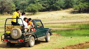 Sariska Jungle Safari