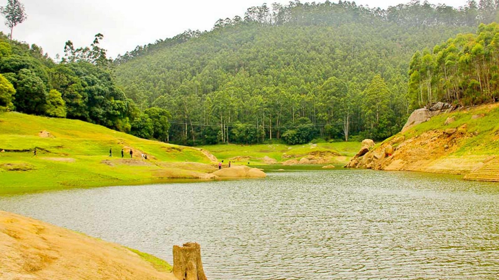 Echo Point Munnar sightseeing image